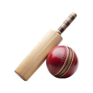 Check out the sports disciplines available for betting on the 12Bet website.